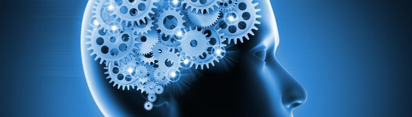 Technical Platform, Functionality and Timing Header